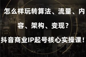 怎么样玩转算法、流量、内容、架构、变现？抖音商业IP起号核心实操课！