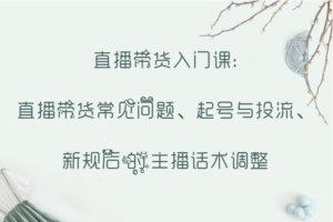 直播带货入门课：直播带货常见问题、起号与投流、新规后的主播话术调整