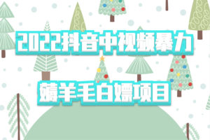 2022抖音中视频暴力薅羊毛白嫖项目