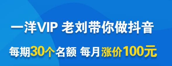 电商抖音VIP，每月集训课+实时答疑+资源共享+联盟合作 电商运营 第1张