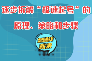 逐步拆解“极速起号”的原理、策略和步骤