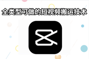 全类型可做的短视频搬运技术