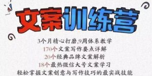 全面系统解决文案写作痛点的《文案训练营》