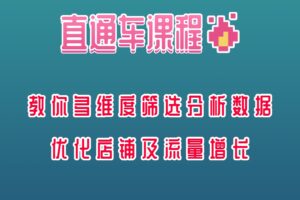直通车课程，教你多维度筛选分析数据，优化店铺及流量增长