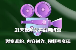 21天视频号实战训练营，裂变涨粉、内容创作、视频号变现