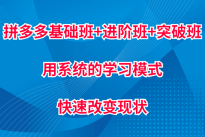拼多多基础班+进阶班+突破班，用系统的学习模式快速改变现状价值3580元