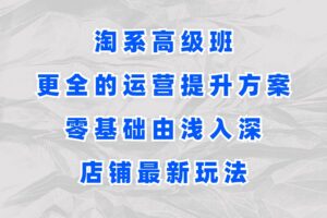 淘系高级班，更全的运营提升方案，零基础由浅入深，店铺最新玩法