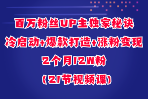 百万粉丝UP主独家秘诀：冷启动+爆款打造+涨粉变现2个月12W粉（21节视频课)