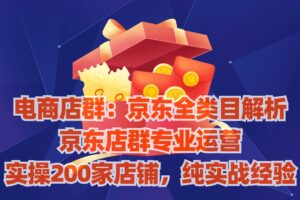 电商店群：京东全类目解析，京东店群专业运营，实操200家店铺，纯实战经验