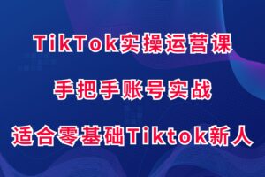 TikTok实操运营课，手把手账号实战，适合零基础Tiktok新人