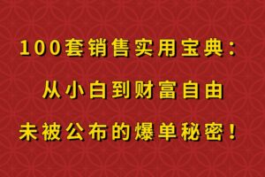 100套销售实用宝典：从小白到财富自由，未被公布的爆单秘密！