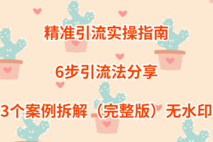精准引流实操指南，6步引流法分享，3个案例拆解（完整版）无水印