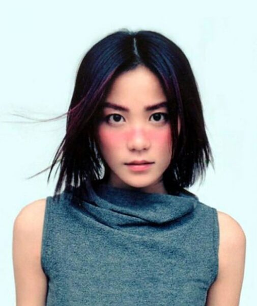 中国香港女歌手王菲（Faye Wong）1985-2022年发行专辑、精选辑、现场辑260张专辑313CD合集[无损FLAC+WAV+ＭP3/216GB]百度网盘打包下载 影音资源 第6张