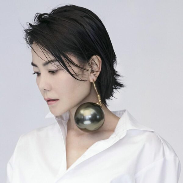 中国香港女歌手王菲（Faye Wong）1985-2022年发行专辑、精选辑、现场辑260张专辑313CD合集[无损FLAC+WAV+ＭP3/216GB]百度网盘打包下载 影音资源 第7张