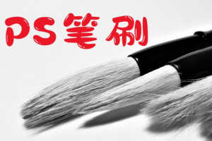 PS素材千款笔刷+样式+动作+形状+渐变资源打包[GRD/ASL/CSH/ABR/4.64GB]百度云网盘下载