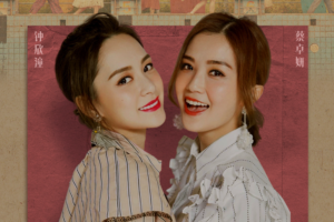 香港女子团体Twins组合25张专辑歌曲合集[FLAC/MP3/16.00GB]百度云网盘下载