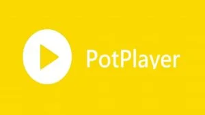 完全免费的音视频播放软件pot player multimedia player
