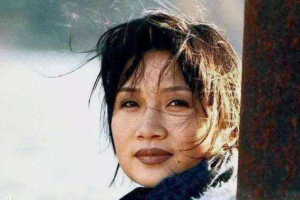 李娜1988-2014年发行的18张专辑27CD[无损WAV/19.4GB]百度云盘打包下载
