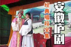 戏曲合集-庐剧经典唱段合集2241个视频+465个音频[FLV/MP4/MP3/410GB]百度云网盘下载