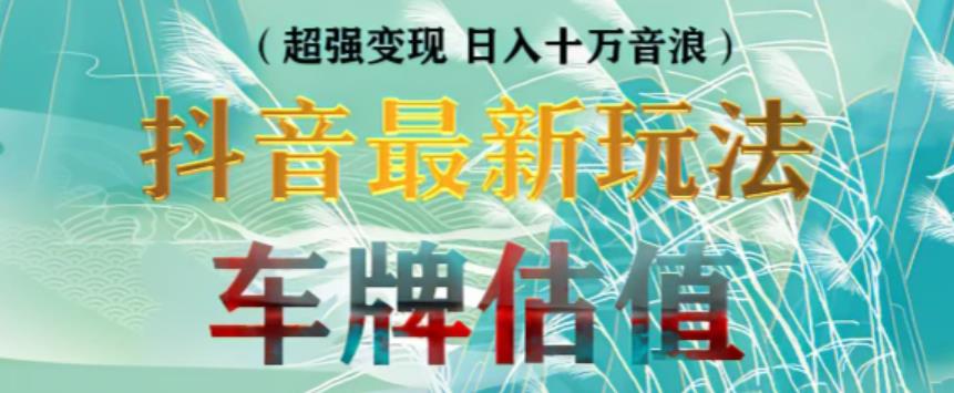 抖音最新无人直播变现直播车牌估值玩法项目【详细玩法教程】 新媒体平台 第1张