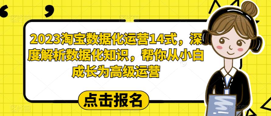 2023淘宝数据化运营14式，深度解析数据化知识，帮你从小白成长为高级运营 电商运营 第1张