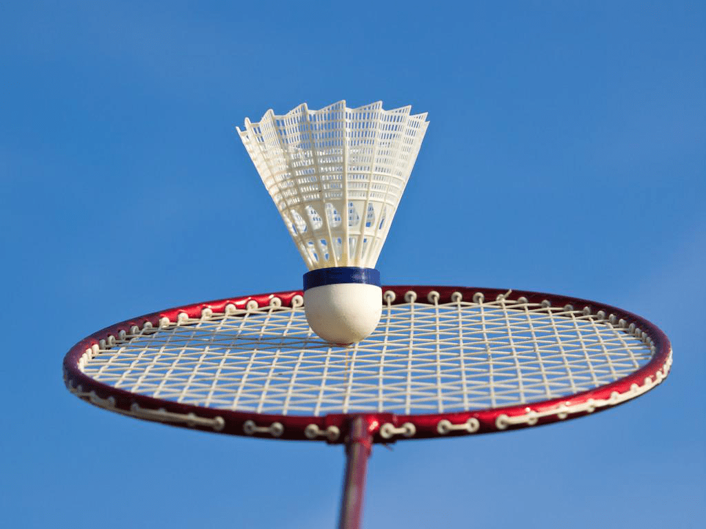 羽毛球从基础到高手-世界冠军的羽毛球课堂百度云下载 专业技能 第1张