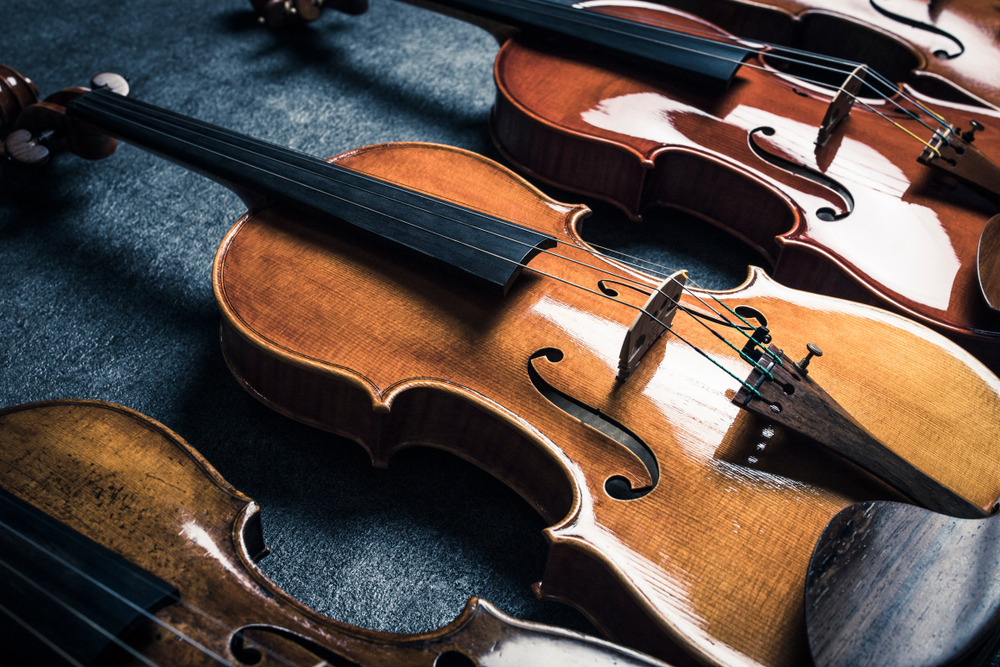 弹奏激情，创造音乐：小提琴教学资源助你成为音乐大师[MP4/PDF/JPG/1.90GB]百度云盘打包下载 专业技能 第2张