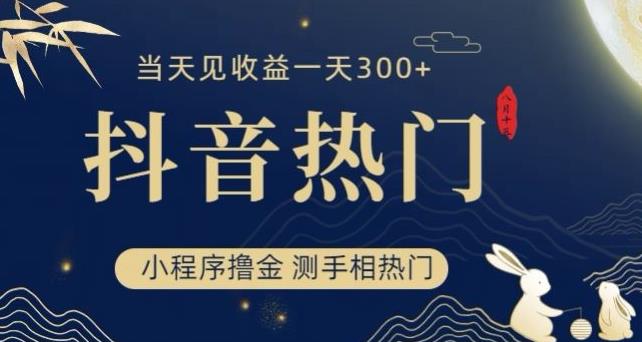 抖音最新小程序撸金，测手相上热门，当天见收益一小时变现300+【揭秘】 网络创业 第1张