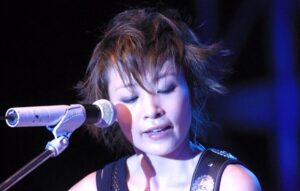 中国大陆女歌手陈琳1993-2009发行专辑合集[无损WAV+FLAC+MP3/4.45GB]百度云盘打包下载
