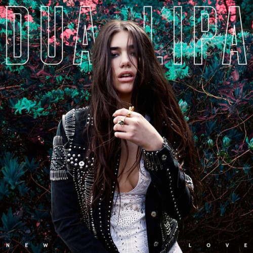 英国和阿尔巴尼亚歌手杜娃·黎波(Dua Lipa)2015-2023年发行专辑 、单曲、现场辑、混音辑合集[无损FLAC+MP3/10.9+1.88GB]百度云盘打包下载 影音资源 第13张