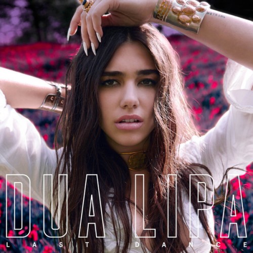 英国和阿尔巴尼亚歌手杜娃·黎波(Dua Lipa)2015-2023年发行专辑 、单曲、现场辑、混音辑合集[无损FLAC+MP3/10.9+1.88GB]百度云盘打包下载 影音资源 第17张