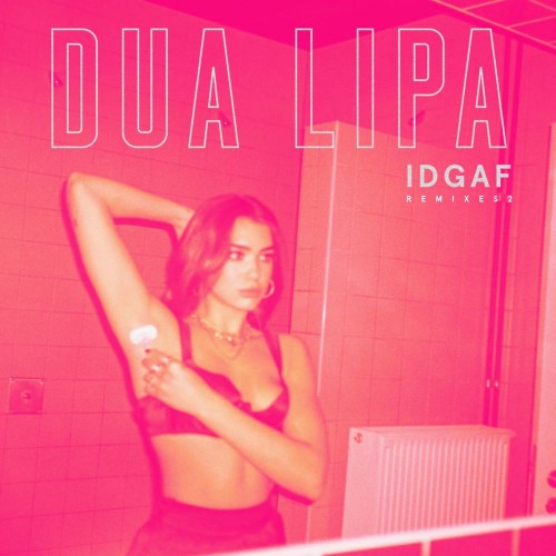 英国和阿尔巴尼亚歌手杜娃·黎波(Dua Lipa)2015-2023年发行专辑 、单曲、现场辑、混音辑合集[无损FLAC+MP3/10.9+1.88GB]百度云盘打包下载 影音资源 第26张