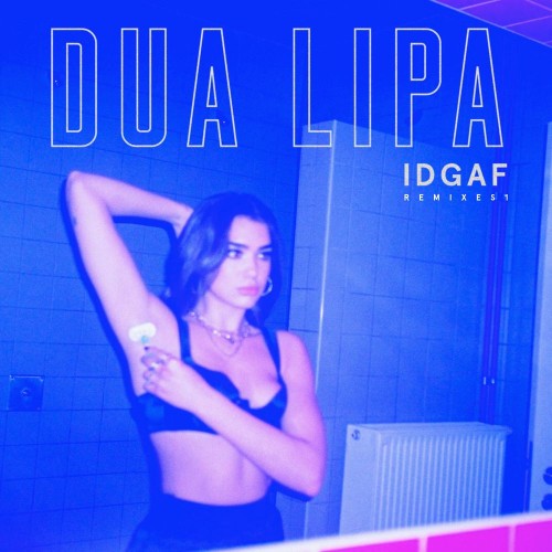 英国和阿尔巴尼亚歌手杜娃·黎波(Dua Lipa)2015-2023年发行专辑 、单曲、现场辑、混音辑合集[无损FLAC+MP3/10.9+1.88GB]百度云盘打包下载 影音资源 第25张