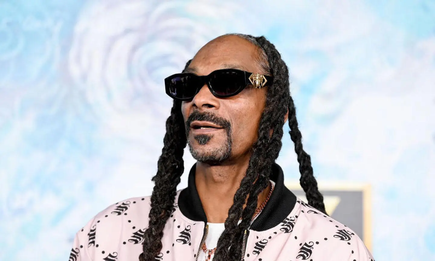 美国说唱歌手Snoop Dogg(史努比狗狗)1990-2023年发行专辑、精选辑、单曲合集[无损FLAC/43GB]百度云盘打包下载 影音资源 第2张