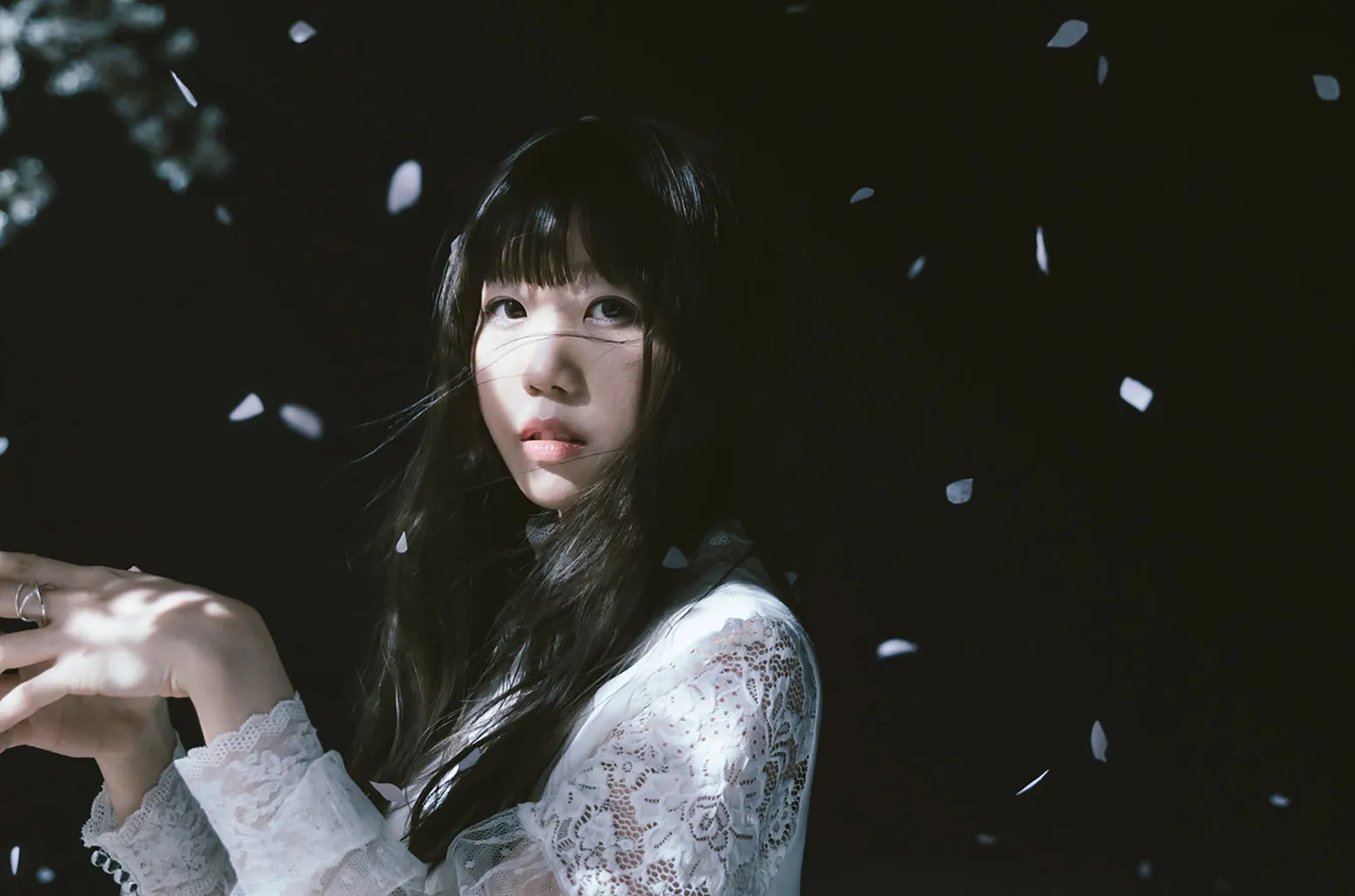 日本创作女歌手Aimer2011-2024年发行专辑、现场辑、单曲合集[无损FLAC/15.50GB]百度云盘打包下载 影音资源 第2张
