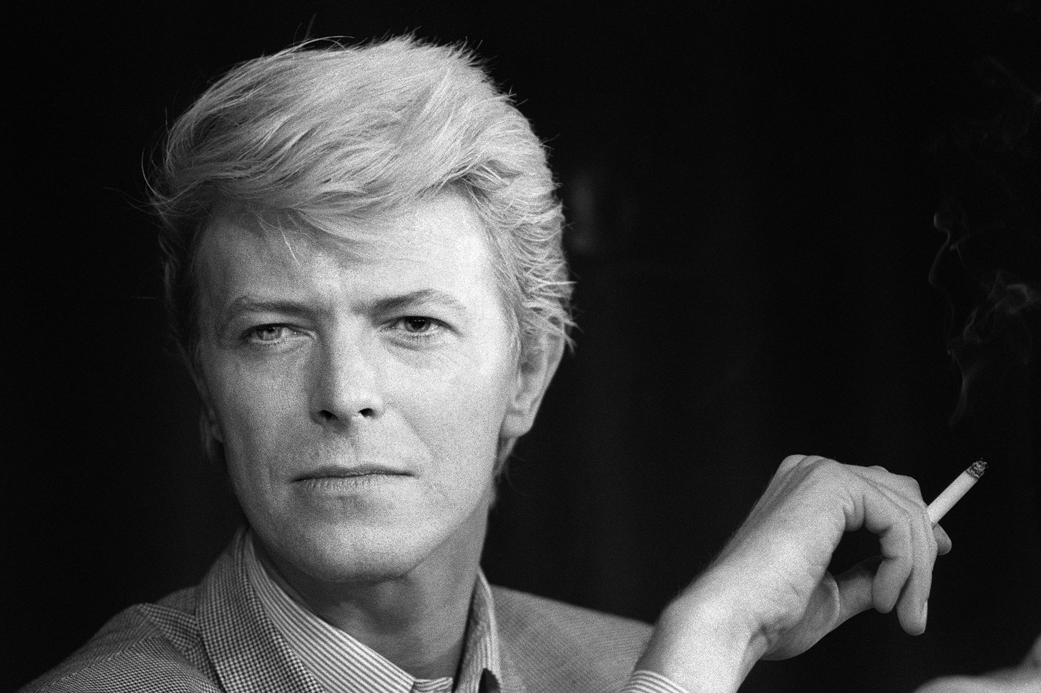 英国歌手、词曲作者、音乐家和演员David Bowie(大卫·鲍伊)1969-2021年发行专辑、精选辑、现场辑合集[无损FLAC/62.8GB]百度云盘打包下载 影音资源 第1张