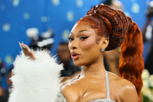 美国女歌手Megan Thee Stallion(梅根·西·斯塔莉安)2017-2025年发行专辑、EP、单曲合集[无损FLAC/3.03GB]百度云盘打包下载
